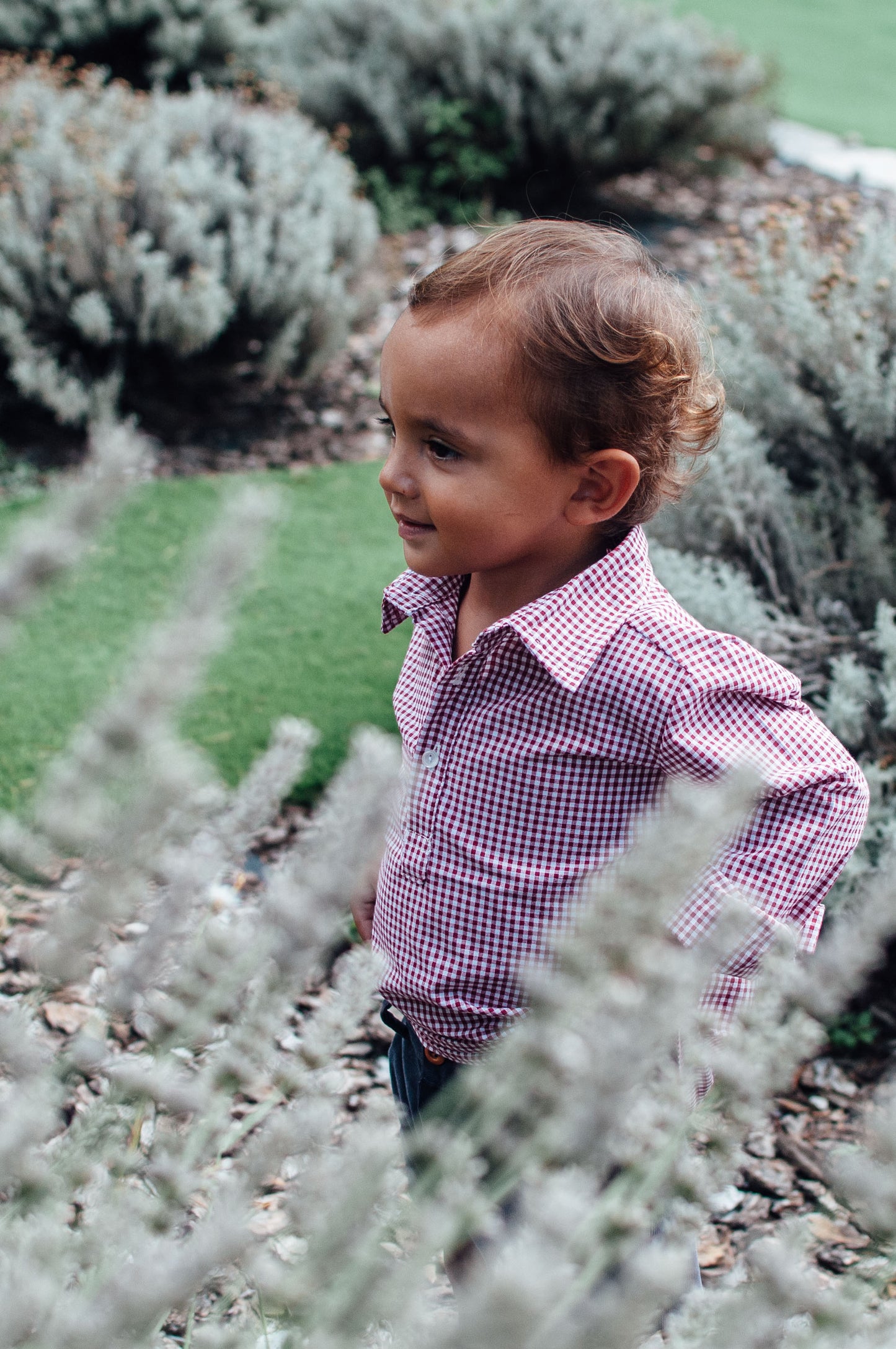 Polera cuadros vichy Berry