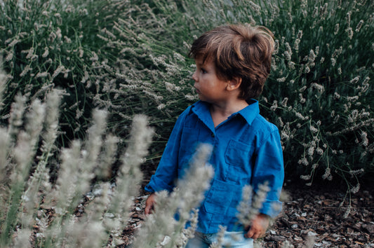 Guayabera Azul